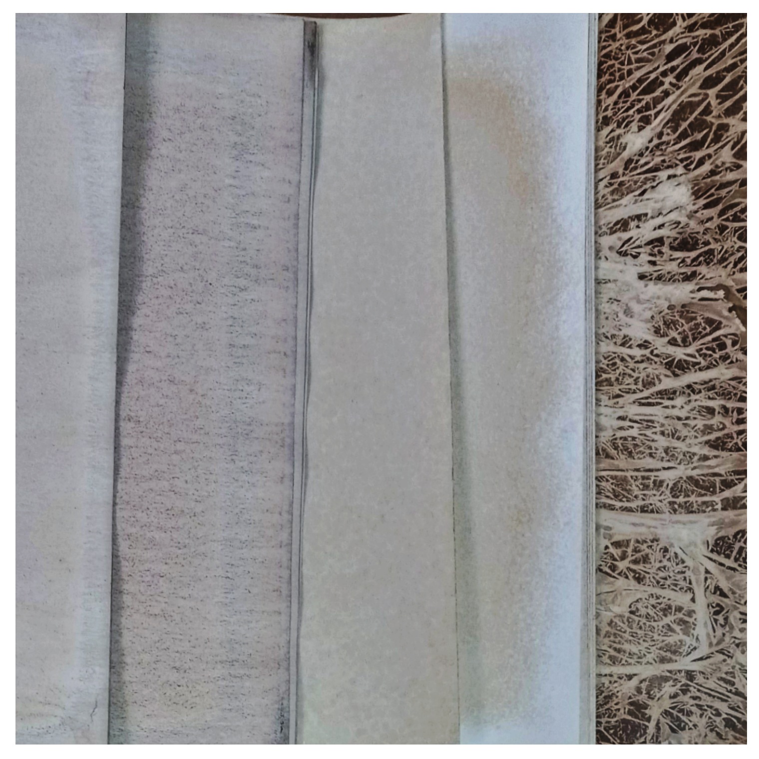 تصویر محصول گلاسه مات رنگ شده (A3)10برگ